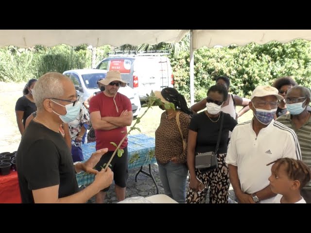 Trois-Rivières : Manifestation "Ô coeur de mon parc - Latilyé jaden" avec le Parc National.