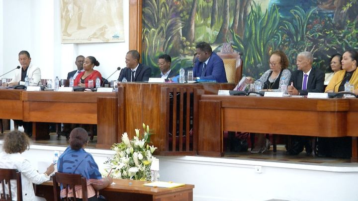 Basse-Terre :Conseil départemental,  IIème plénière de 2023.