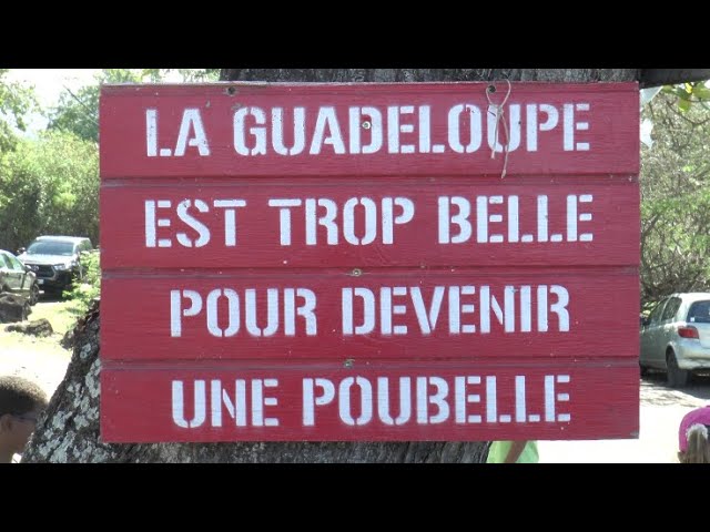 Protection de la mer avec 10 classes de Vieux Habitants avec l'association O Pipirit Chantan.